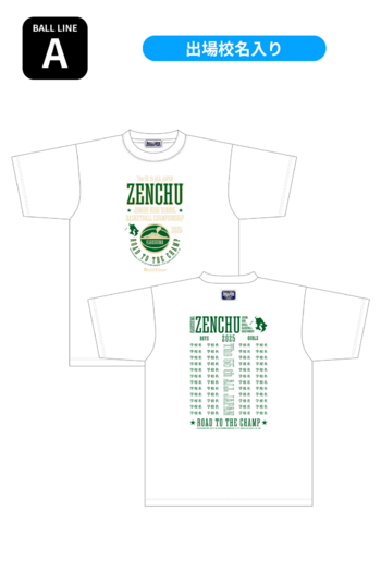 y2025SzTVc [A]
